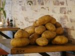 Flinke aardappels van Jacketz